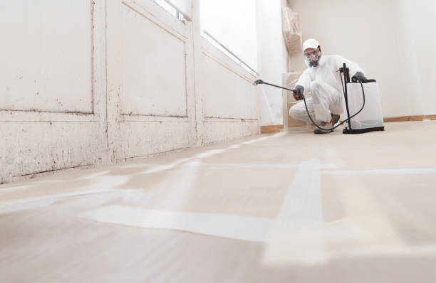24/7 Emergency Mold Testing experts in Quincy, MI