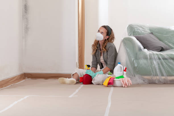 Reliable Mold Testing contractor in Quincy, MI by WQB Mold Removal